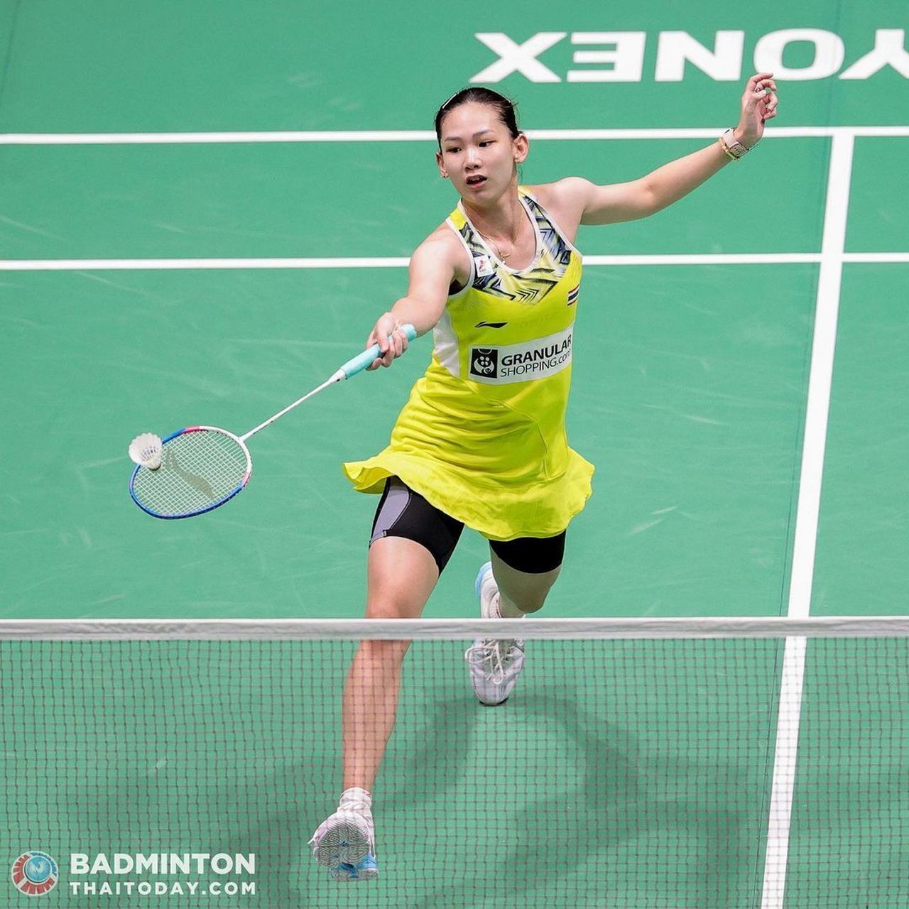 熊主力球员 熊主力球员