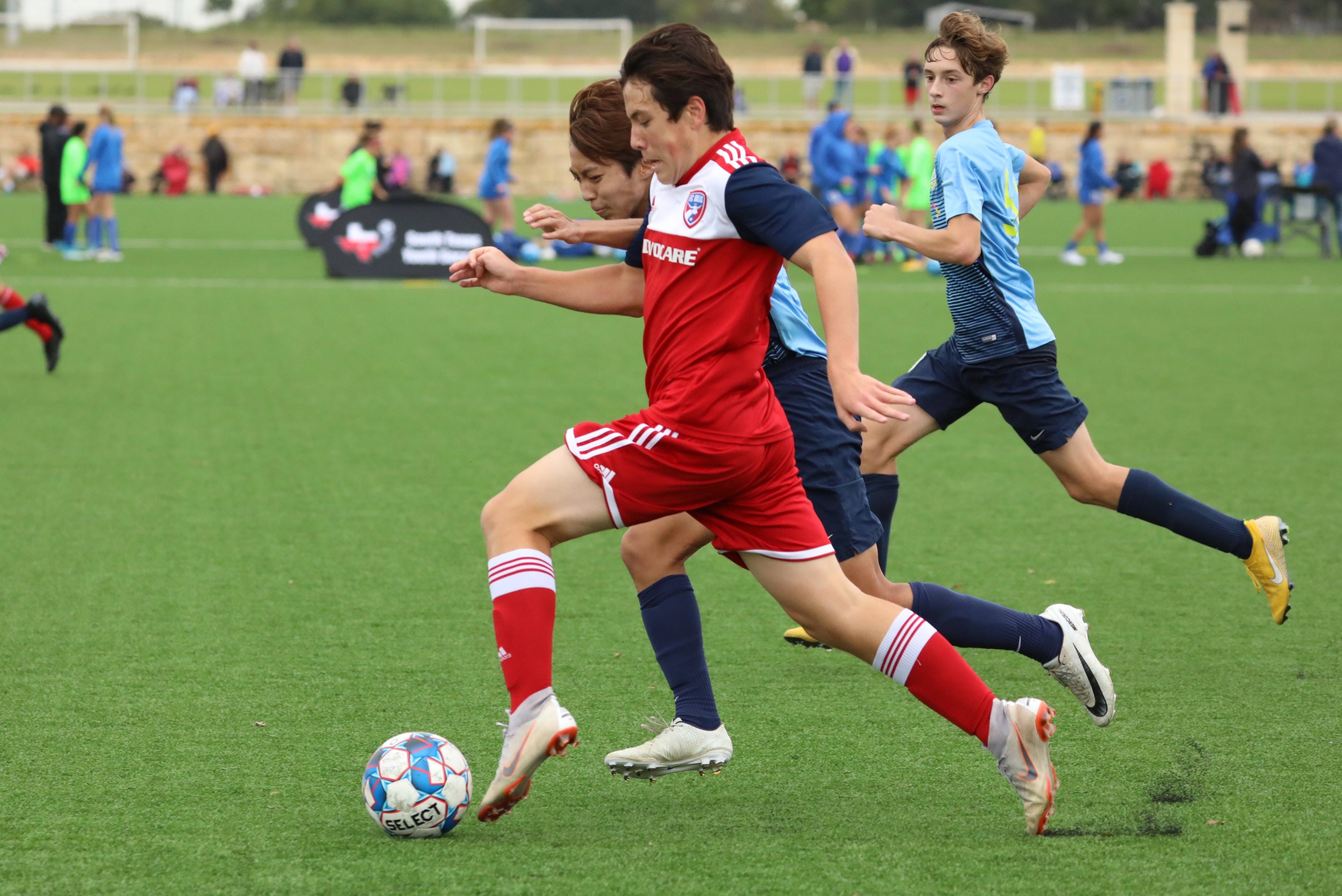 仅仅是追求 仅仅是追求