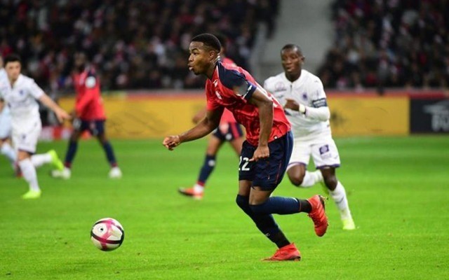 表现和良好 表现和良好