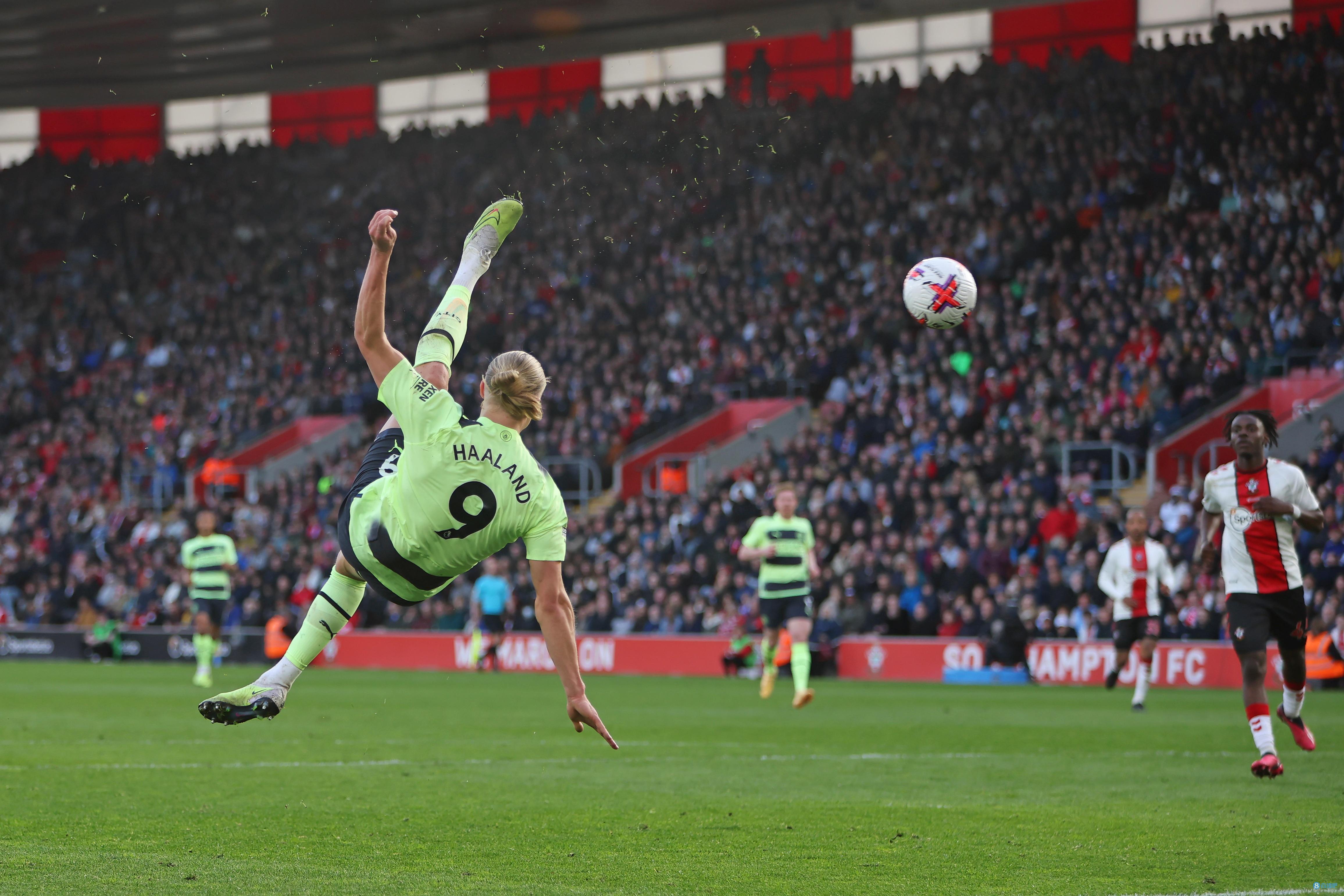 与夏窗议价 与夏窗议价